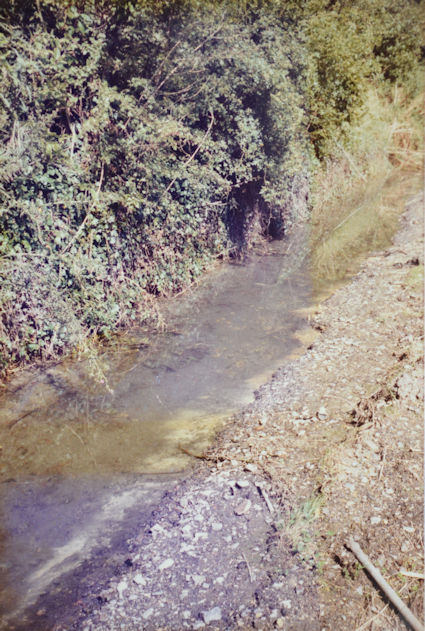 106: The sides of the stream have been scraped away and the water is cloudy. Pam Stacey, 21 August 1985.