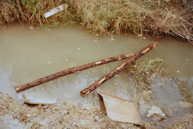 115: Some of the wooden stakes have been thrown into the stream. These ones had been colonised by many freshwater shrimps. Fool's water-cress and duckweed are in the water. Pam Stacey, 22 September 1985.