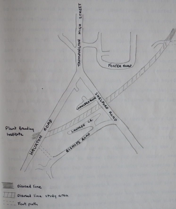 Figure 1. The disused railway line at Trumpington, showing the study area. Pam Stacey, 1985.
