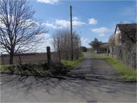 Track from Exeter Close to Glebe Farm house. Photo: Hiltrud Hall, March 2008.