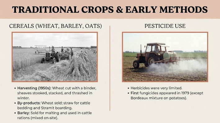 Figure 2: Traditional crops and early methods.