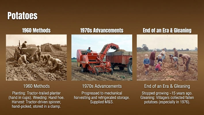 Figure 4: Potatoes.