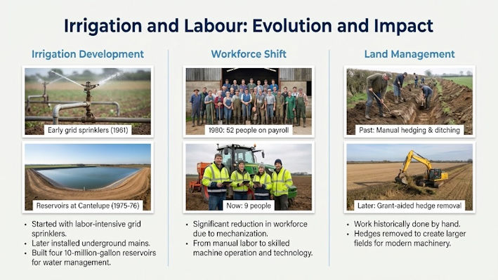 Figure 9: Irrigation and labour: evolution and impact.