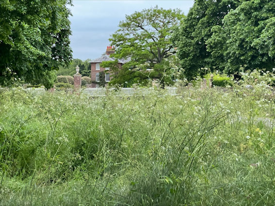 The grounds of Trumpington Hall, Local History Group walk, 1 June 2023. Photo: Janelle Robbins.