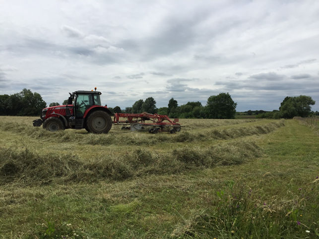 Hay making on the meadows in the Nature Reserve. Wildlife Trust BCN.