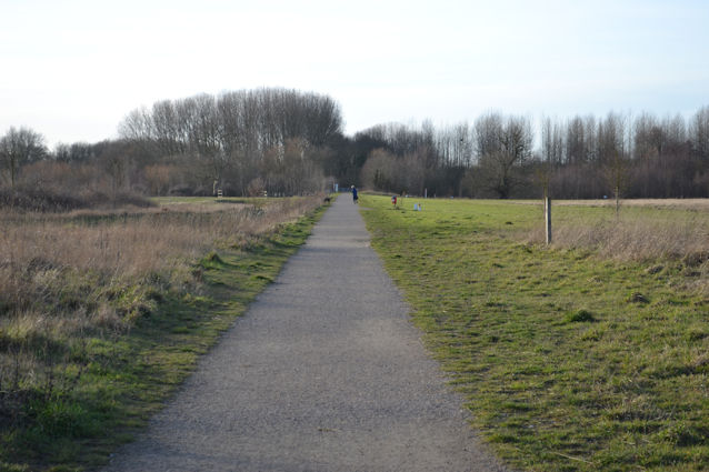 Looking along the route of the old railway towards the river, Trumpington Meadows Country Park. Photo: Andrew Roberts, 1 February 2024.