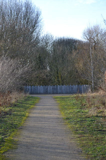 Looking along the route of the old railway towards the site of the river bridge, Trumpington Meadows Country Park. Photo: Andrew Roberts, 1 February 2024.
