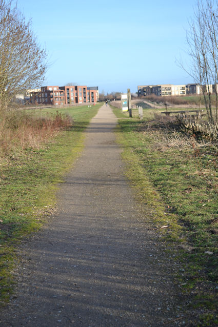 Looking from the site of the river bridge along the route of the old railway, Trumpington Meadows Country Park. Photo: Andrew Roberts, 1 February 2024.