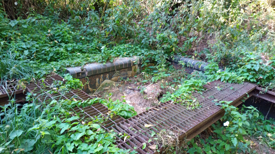 The overgrown (abandoned?) bed burial mosaic in July 2023. Photo: Randall Evans, July 2023.
