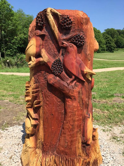 Carving with animals and plants near Byron’s Pool car park. Photo: Randall Evans, 2016.