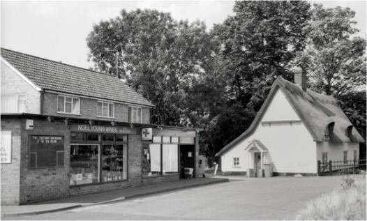 Noel Young Wines, Gregory’s Pharmacy and the thatched cottage. Jo Elliot.