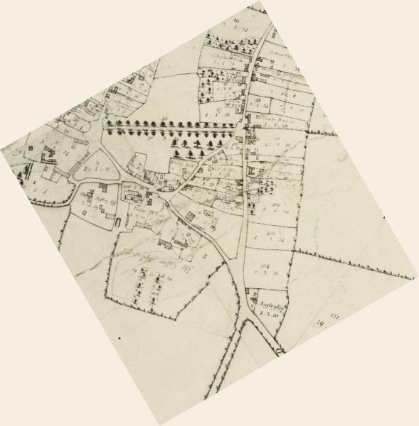 Extract from A Map of the Parish of Trumpington ..., 1804. Cambridgeshire Archives.