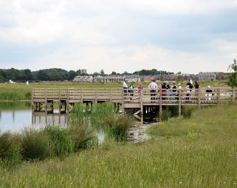 Guided walk at the platform over the balancing pond during the Trumpington Meadows Discovery Day, 11 June 2016. Andrew Roberts (stop 9).
