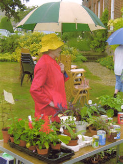 'Dedication to Duty', Margaret Marrs manning the stall at the Vicarage Garden Party, early 2000s.
