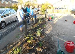 Evening planting session of the Village Hall flower border, 21 May 2015. Photo: Wendy Roberts.