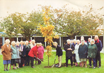 The Women’s Institute planting an oak sapling in the grounds of Fawcett School, to commemorate the millennium and the 80th anniversary of Trumpington Women’s Institute, autumn 1999. Photo: Graham Bass.