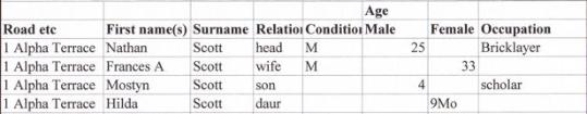 Extract from 1891 census, 1Alpha Terrace.