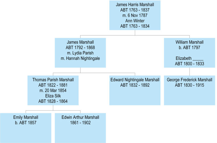 Figure 4. The Marshall family tree.