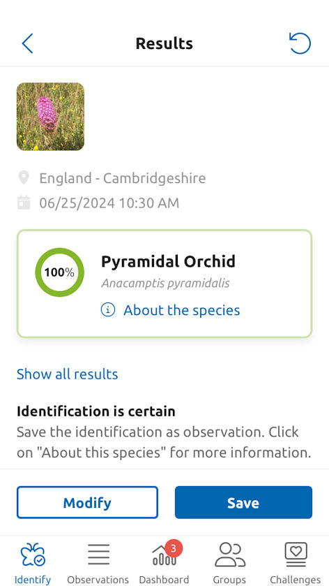 Pyramidal orchid entry on Obsidentify. Howard Slatter.