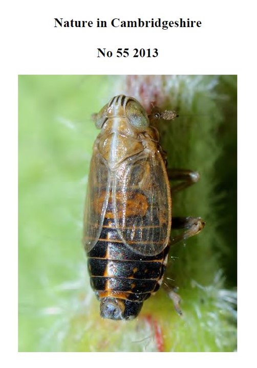 Front cover of the Nature in Cambridgeshire report, 2013. Howard Slatter.