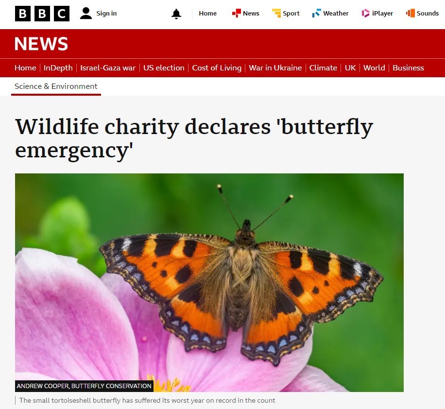 Butterfly emergency. BBC News.