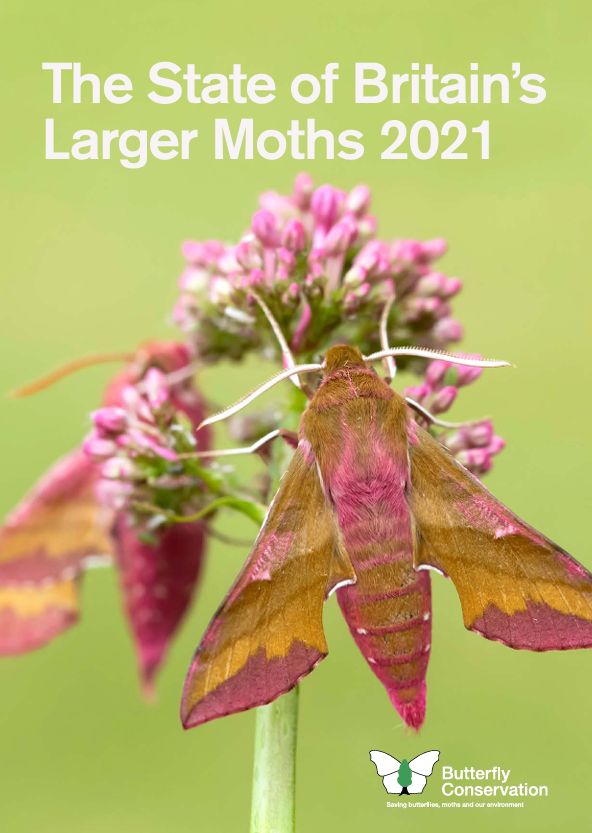 Front cover of The State of Britain’s Larger Moths, 2021. Howard Slatter.