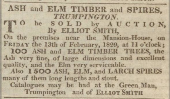 Timber sale advertised in a newspaper in 1829. Cambridgeshire Collection.