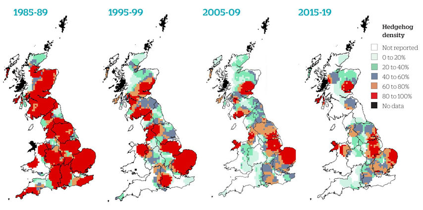 Changes in Hedgehog abundance in the UK, 1985-2019. Source: hedgehogstreet.org.