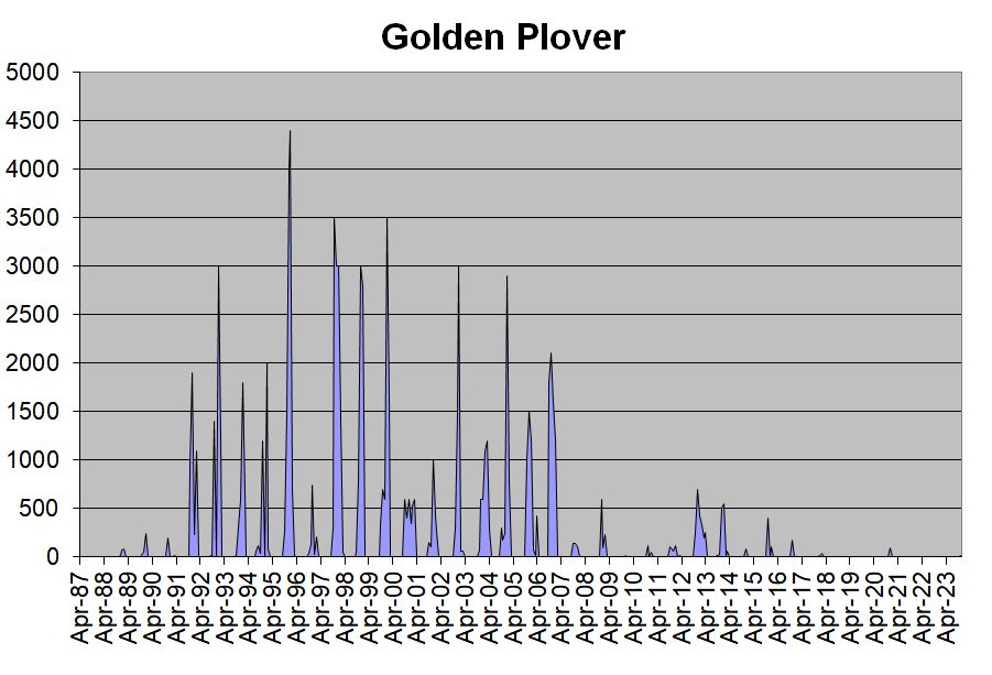 Golden Plover occurrences in the Hobson’s Park area, 1987-2023. Howard Slatter.