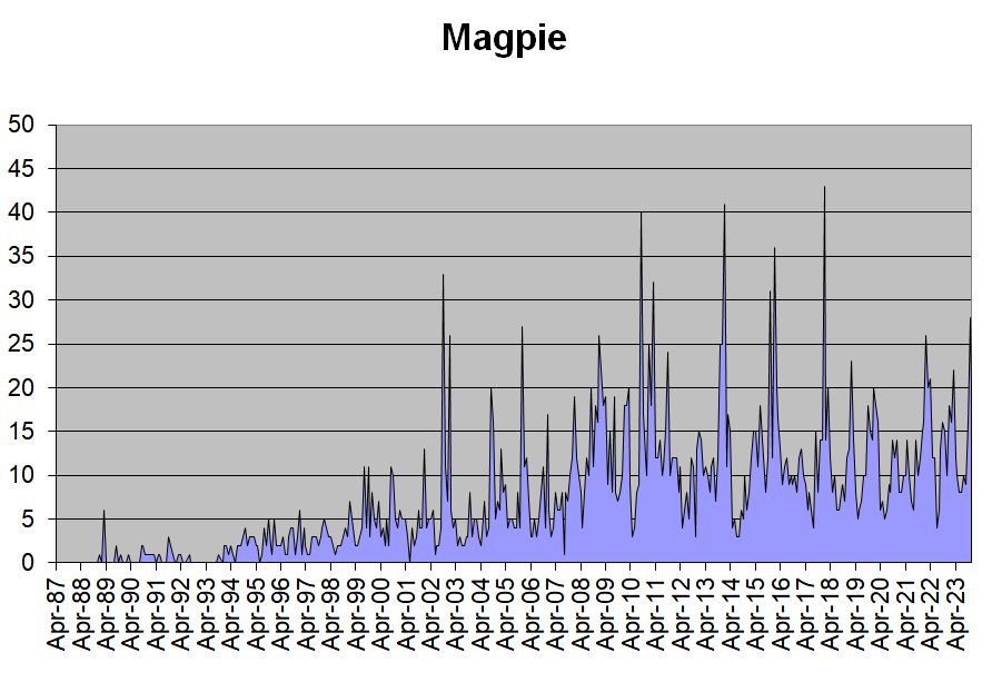 Magpie occurrences in the Hobson’s Park area, 1987-2023. Howard Slatter.