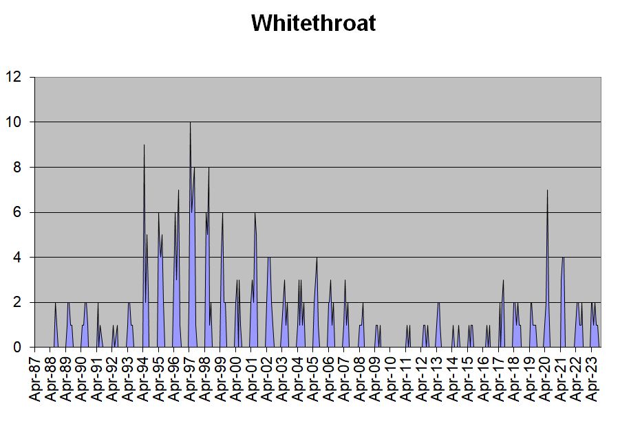 Whitethroat occurrences in the Hobson’s Park area, 1987-2023. Howard Slatter.