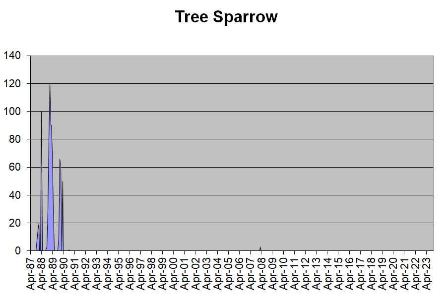 Tree Sparrow occurrences in the Hobson’s Park area, 1987-2023. Howard Slatter.